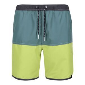 Regatta Mens Benicio Swim Shorts / Sea Pine/Green Algae